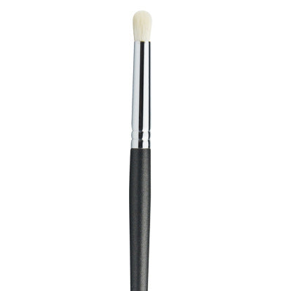 Professional Makeup Brushes