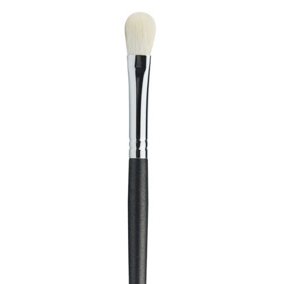 Professional Makeup Brushes