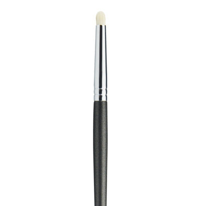 Professional Makeup Brushes