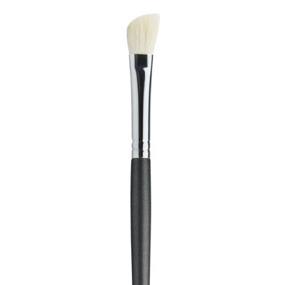 Professional Makeup Brushes