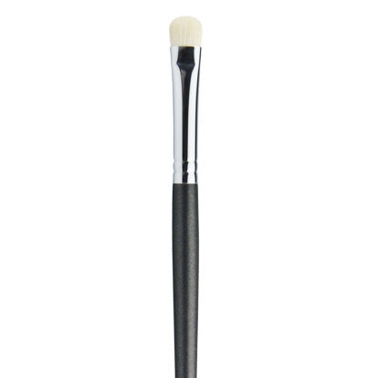 Professional Makeup Brushes
