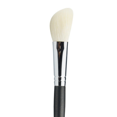 Professional Makeup Brushes