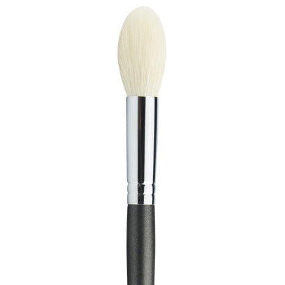 Professional Makeup Brushes