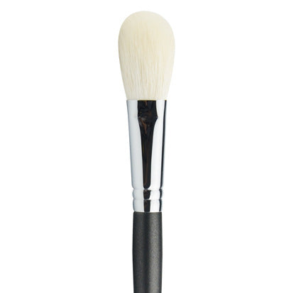 Professional Makeup Brushes