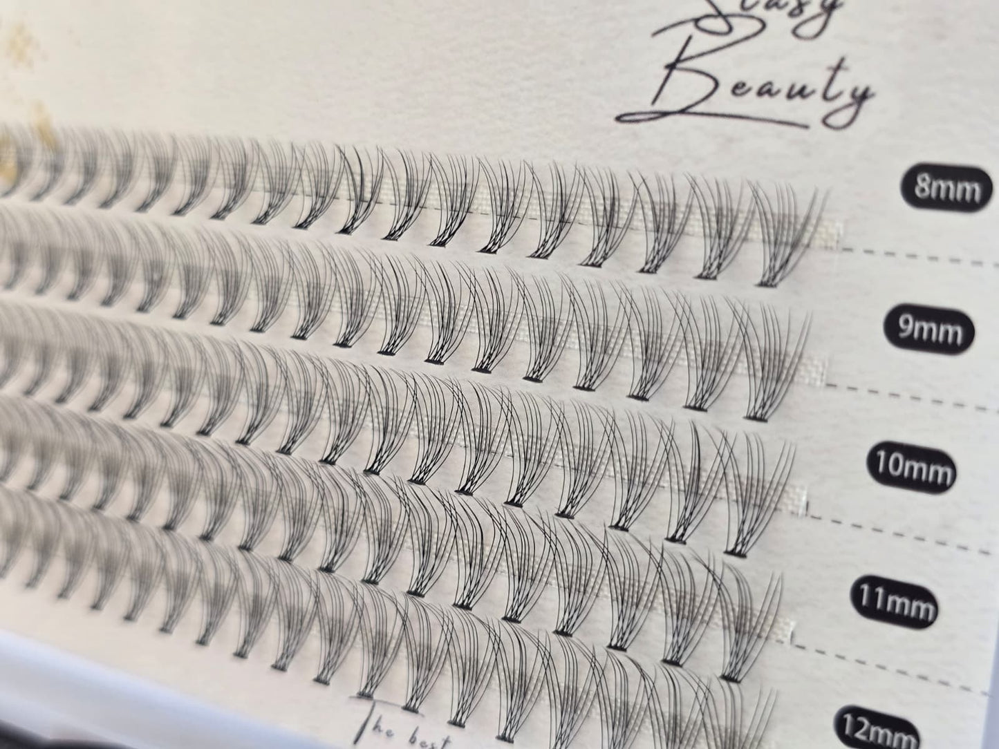 Stasy Beauty™ 10D/0.07/C/8-12mm MIX